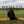 The Woman in the Yard - 2025