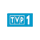 PL-VIP| TVP 1 RAW logo