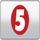 RU: 5 KANAL RU logo