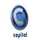 CY: CAPITAL CYPRUS logo