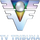 BR: GLOBO TV TRIBUNA SANTOS logo