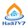 PK: HADI TV 7 HD logo