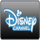 HINDI: DISNEY SD logo
