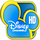 BR: DISNEY CHANNEL logo