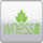 BG: WNESSTV logo