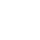 DE - Fury logo