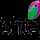IN: COLORS RISHTEY ᴴᴰ ◉ logo