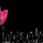 MXC: TELENOVELAS FHD logo