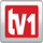 BG| TV 1 ⱽᴵᴾ ᴿᴬᵂ logo