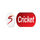 SAF - SS CRICKET HD logo