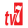 ALB - 7 TV SD logo