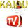 HAITI -  KAJOU TV FHD logo