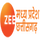 HINDI - ZEE NEWS MP/CHATTISGARH logo