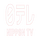 JP - NIPPON TV SD logo