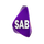 PK - SAB ENTERTAINMENT HD logo