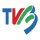CN - TVB HD logo