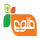 AFG - TOLO HD logo