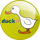 MT - DUCK TV logo