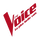 BG - THE VOICE HD logo