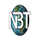 CAR - NBTV HD logo