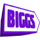 PT - BIGGS HD logo