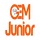 IR - GEM JUNIOR HD logo