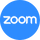 CO - ZOOM ᵛᶦᵖ logo