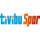TR - TİVİBU SPOR HD PLUS logo