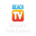 US - BEACH TV - FLORIDA - ALABAMA logo