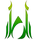 ISLAM| IQRAA logo