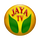 MY| JAYA MAX HD logo