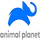 IL| YES-ANIMAL PLANET HD logo