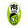 US| PBS KIDS HD logo